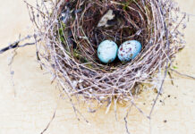 7×1: Sviluppo Sostenibile: giovani, vita e lavoro