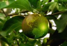 Giornata mondiale dell’ambiente: l’opinione dei giovani