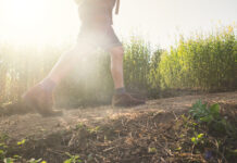 Gli scout si formano con il Rapporto Giovani